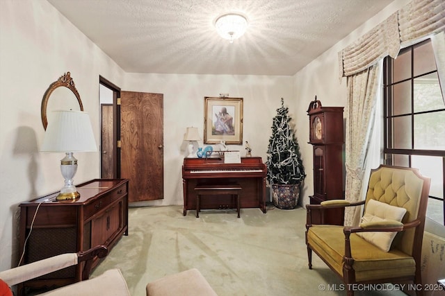 17331 S 174th Ave E, Bixby, OK 74008 - sitting room featuring carpet floors and a textured ceiling