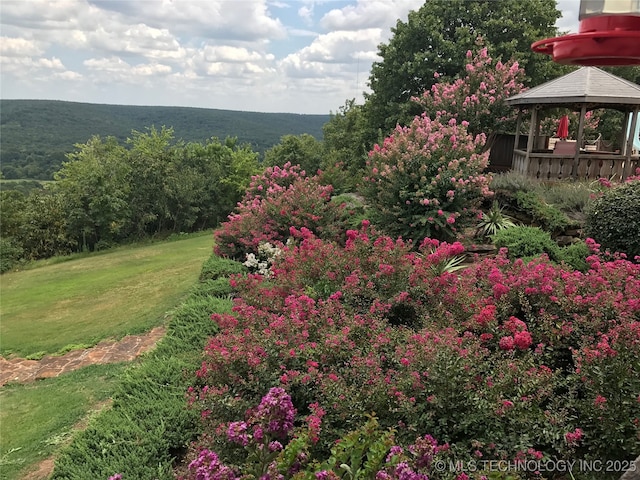 17331 S 174th Ave E, Bixby, OK 74008 - view of grassy yard featuring a gazebo and a wooded view