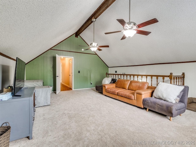 7001 S Redbud Ave, Broken Arrow, OK 74011 - living area featuring a textured ceiling, ceiling fan, and carpet