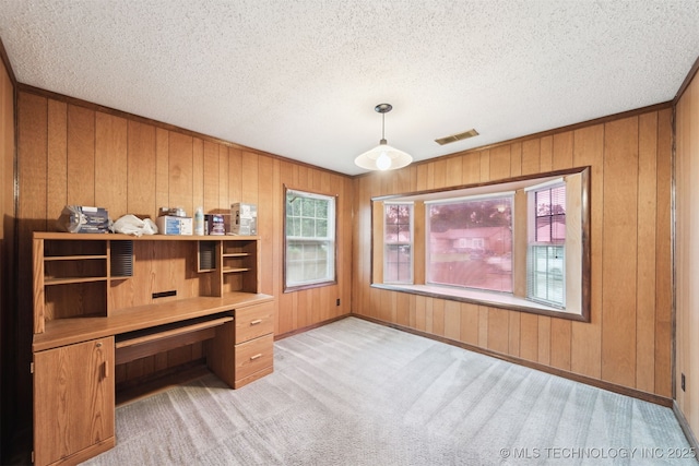166 S 91st E Ave, Tulsa, OK 74112 - home office featuring plenty of natural light, wood walls, light colored carpet, and a textured ceiling