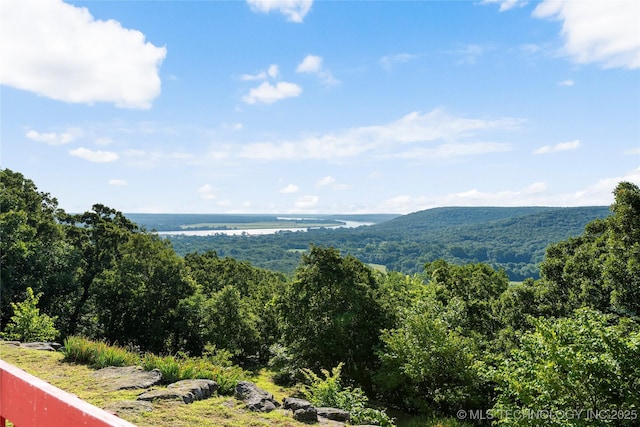 17304 E 176th St S, Bixby, OK 74008 - mountain view with a forest