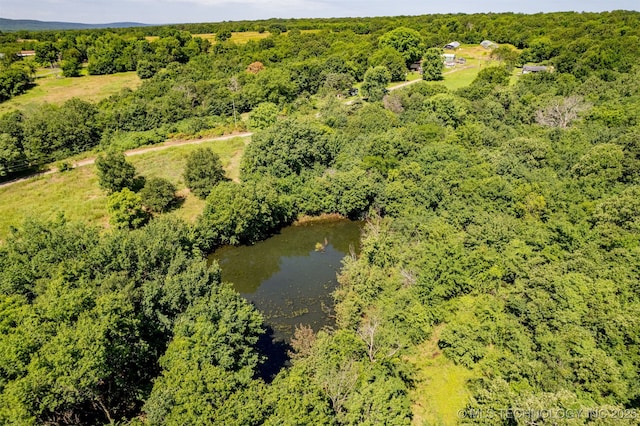 15171 N Lost City Rd, Hulbert, OK 74441 - photo 27