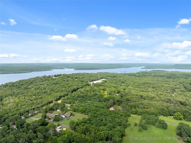 70155 S 336th Ct, Wagoner, OK 74467 - aerial view of a forest and a nearby body of water