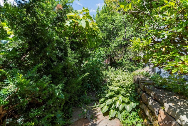 321 E 29th Pl, Tulsa, OK 74114 - view of undeveloped land