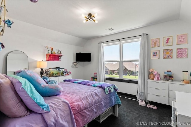 21933 E 101st Pl S, Broken Arrow, OK 74014 - bedroom with dark carpet and lofted ceiling