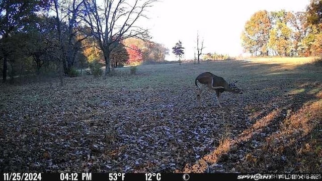 11160 N County Road 3370, Stratford, OK 74872 - photo 50