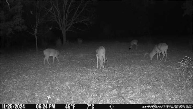 11160 N County Road 3370, Stratford, OK 74872 - photo 51