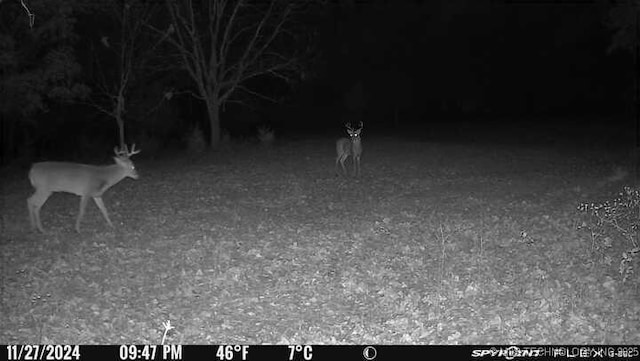 11160 N County Road 3370, Stratford, OK 74872 - photo 53