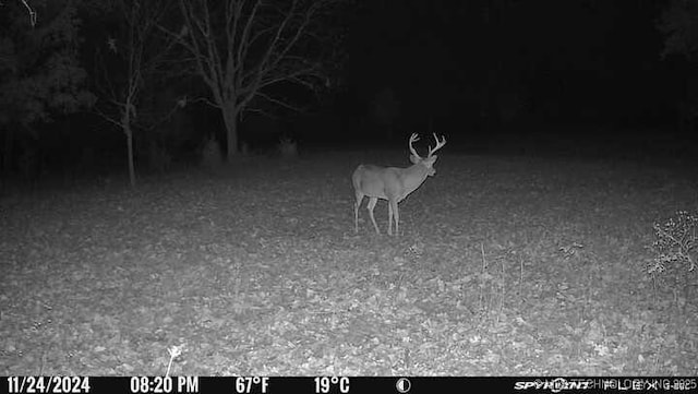 11160 N County Road 3370, Stratford, OK 74872 - photo 28