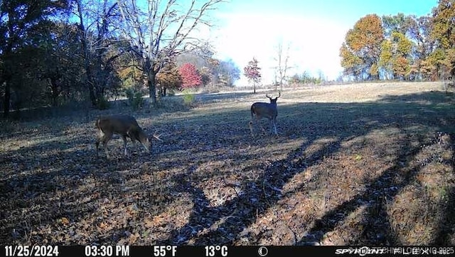 11160 N County Road 3370, Stratford, OK 74872 - photo 29