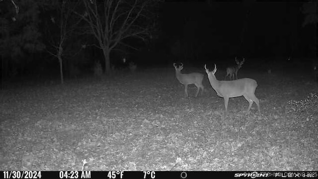 11160 N County Road 3370, Stratford, OK 74872 - photo 31