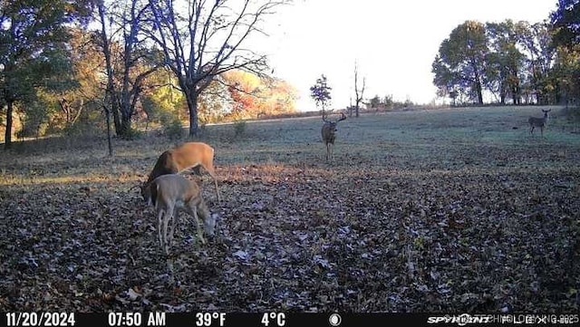 11160 N County Road 3370, Stratford, OK 74872 - photo 32