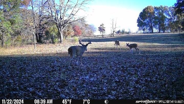 11160 N County Road 3370, Stratford, OK 74872 - photo 34