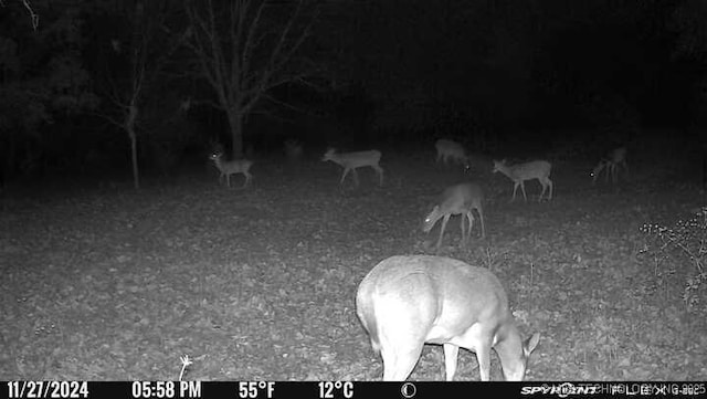 11160 N County Road 3370, Stratford, OK 74872 - photo 35