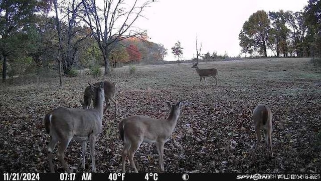 11160 N County Road 3370, Stratford, OK 74872 - photo 38
