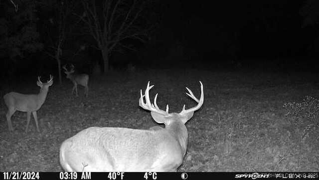 11160 N County Road 3370, Stratford, OK 74872 - photo 41