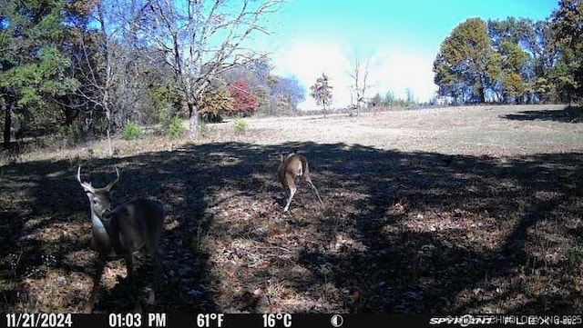 11160 N County Road 3370, Stratford, OK 74872 - photo 42