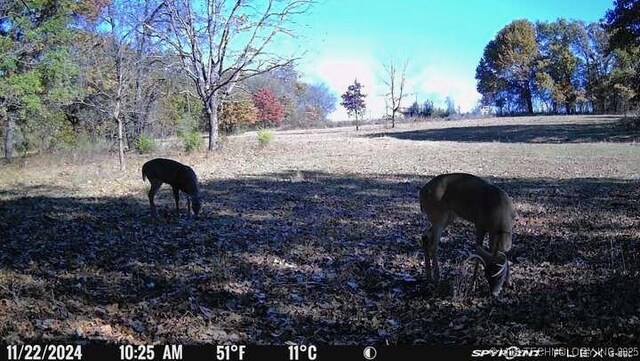11160 N County Road 3370, Stratford, OK 74872 - photo 44