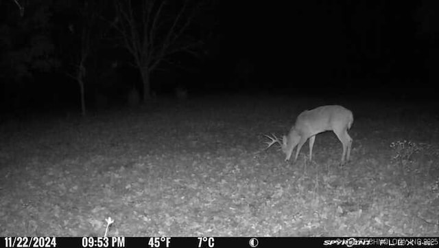 11160 N County Road 3370, Stratford, OK 74872 - photo 45