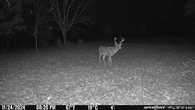 11160 N County Road 3370, Stratford, OK 74872 - photo 46