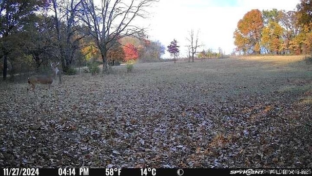11160 N County Road 3370, Stratford, OK 74872 - photo 55