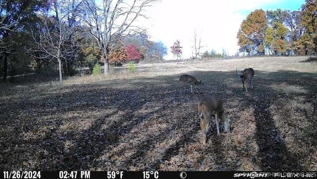 11160 N County Road 3370, Stratford, OK 74872 - photo 56
