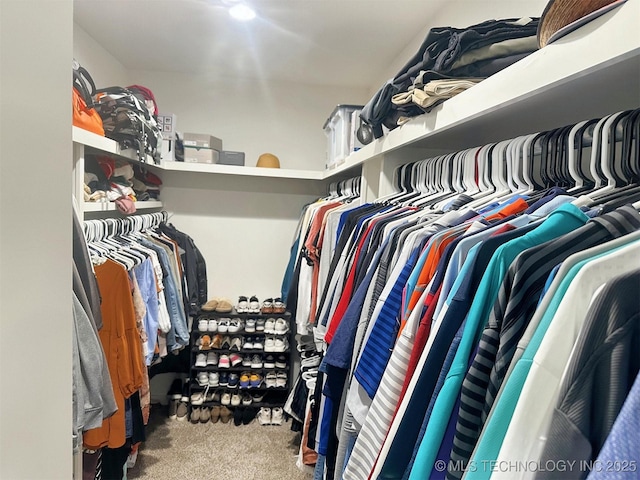 775 E Finley Ridge Dr, Tahlequah, OK 74464 - walk in closet with carpet flooring