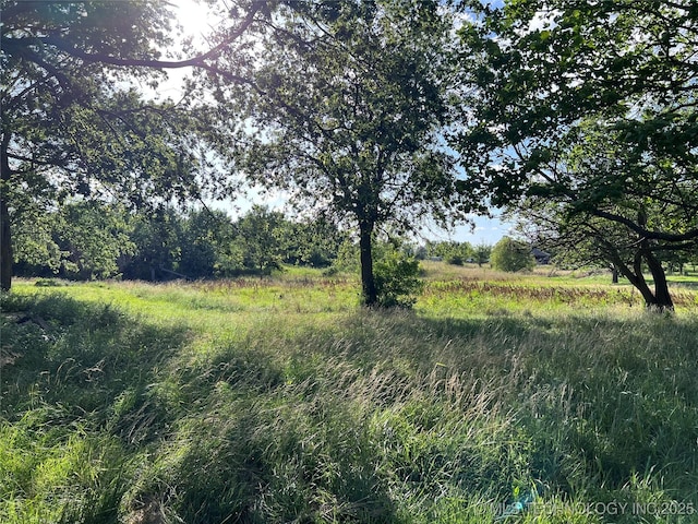 13226 N 91st Ave E, Collinsville, OK 74021 - view of nature