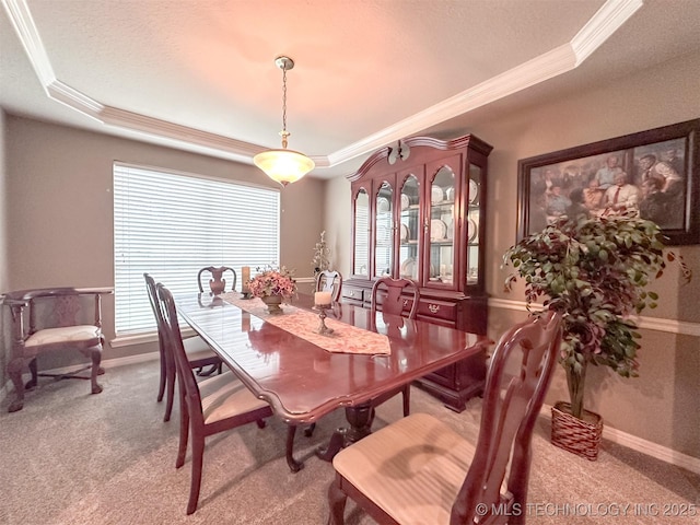 7515 S 108th E Ave, Tulsa, OK 74133 - carpeted dining area featuring ornamental molding, a raised ceiling, healthy amount of natural light, and a textured ceiling