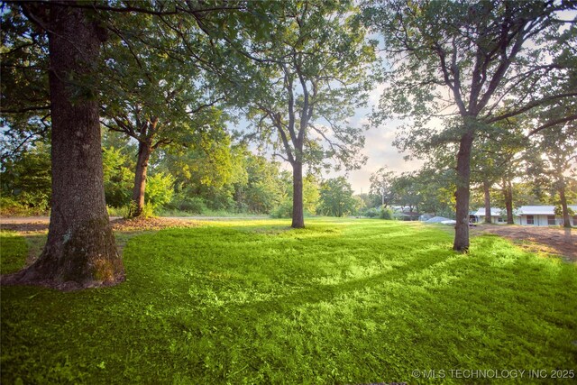 416434 Lakeside, Checotah, OK 74426 - view of green lawn
