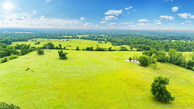 1 N Cornerstone Ln, Idabel, OK 74745 - photo 11