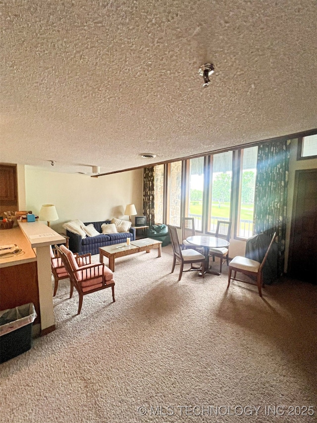 56701 E 310th Rd Unit 712, Afton, OK 74331 - carpeted living room featuring a textured ceiling and expansive windows