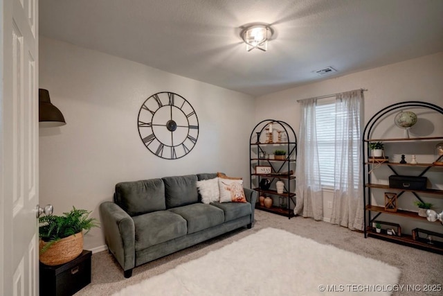 11001 N 146th E Ave, Owasso, OK 74055 - living area with carpet floors