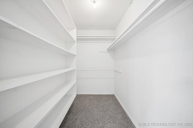 2712 S Fir Ave, Broken Arrow, OK 74012 - walk in closet with carpet floors