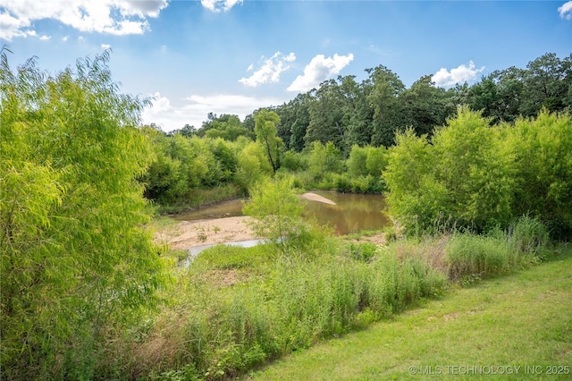 1330 Panther Ln, Sapulpa, OK 74066 - view of woods featuring a water view