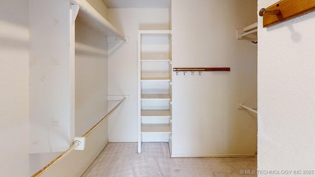 1124 Surrey Dr, Ardmore, OK 73401 - walk in closet with carpet flooring