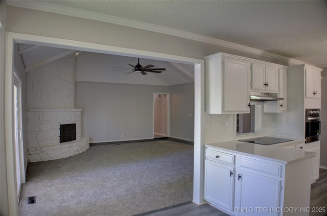 1304 N Ironwood Ave, Broken Arrow, OK 74012 - photo 21