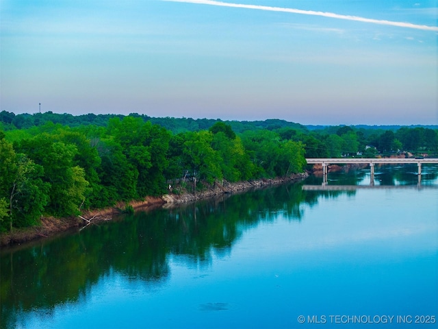 9596 N 447th Rd, Spavinaw, OK 74366 - water view with a forest