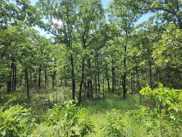 Hickory Ln, Stuart, OK 74570