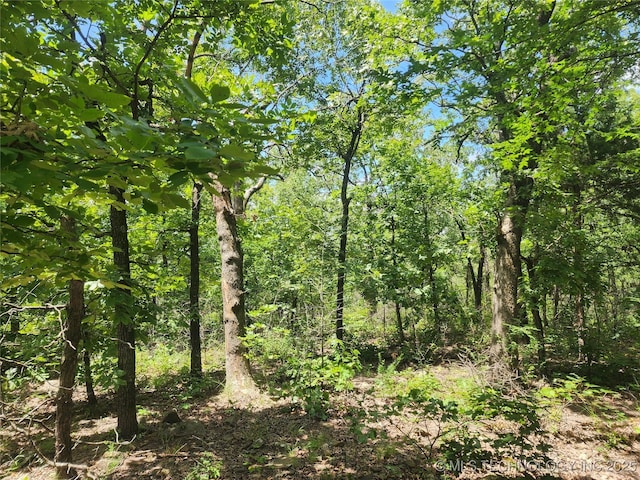 Hickory Ln, Stuart, OK 74570