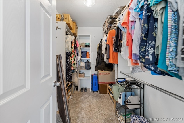 14907 E 88th St N, Owasso, OK 74055 - spacious closet with carpet floors