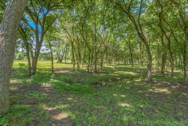 22322 E 121st St S, Broken Arrow, OK 74014 - view of local wilderness