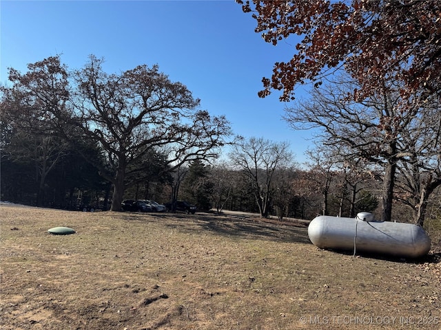 769 Terrace Dr, Prue, OK 74060 - view of yard