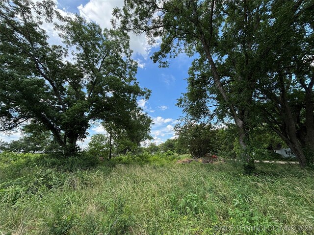 611 E Wolf, Madill, OK 73446 - photo 25