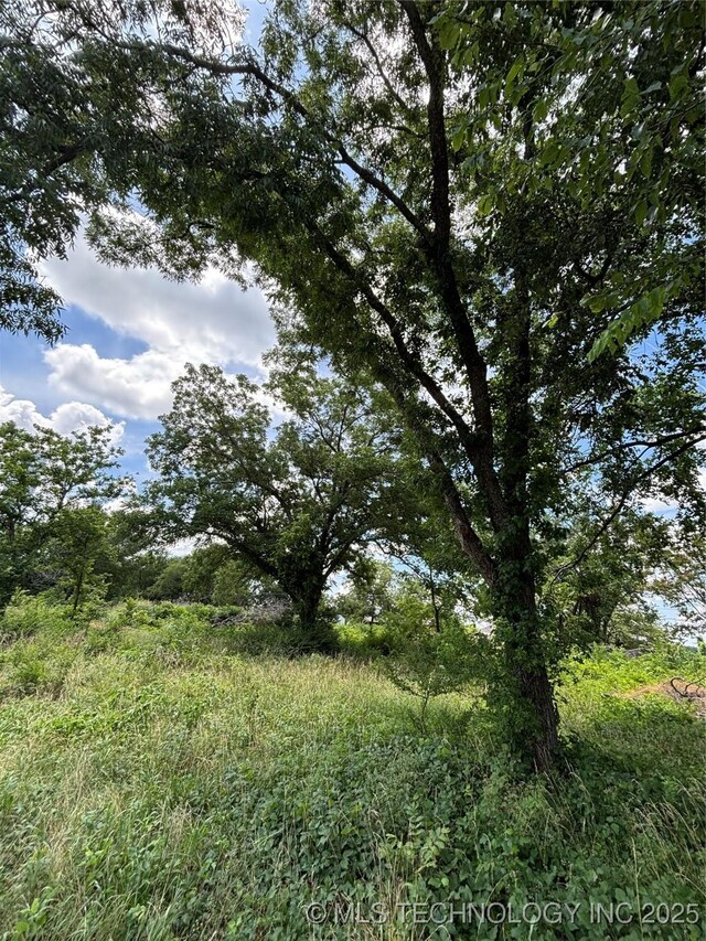 611 E Wolf, Madill, OK 73446 - photo 26
