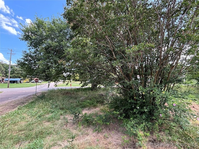 611 E Wolf, Madill, OK 73446 - photo 1