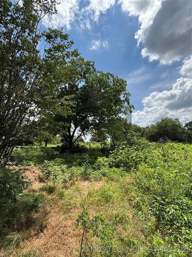 611 E Wolf, Madill, OK 73446 - photo 2
