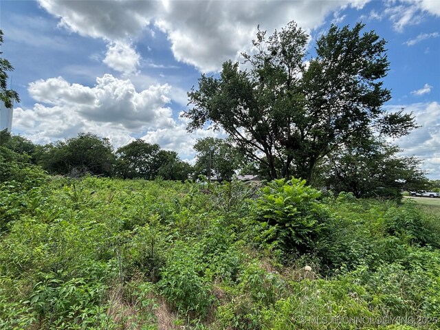 611 E Wolf, Madill, OK 73446 - photo 5