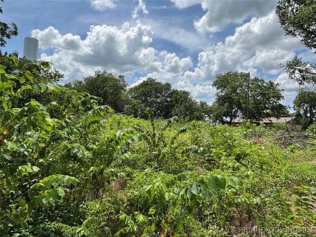 611 E Wolf, Madill, OK 73446 - photo 6
