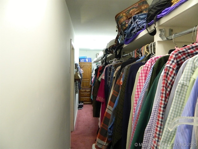 399987 W 3700th Rd, Ramona, OK 74061 - spacious closet with carpet